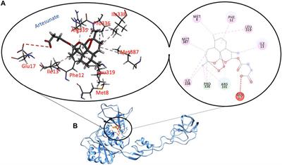 Phytomedicine in Disease Management: In-Silico Analysis of the Binding Affinity of Artesunate and Azadirachtin for Malaria Treatment